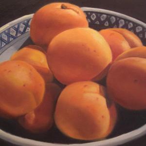 APRICOTS oil painting