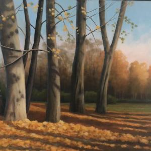 ASPEN TREES