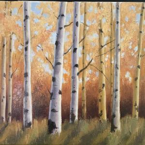 ASPEN TREES