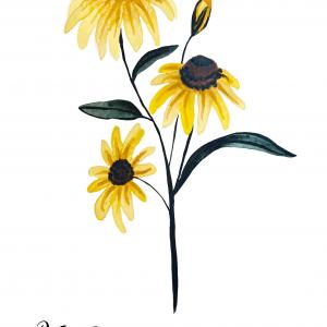 BLACK EYED SUSAN