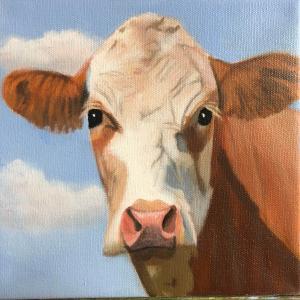 COW FACE