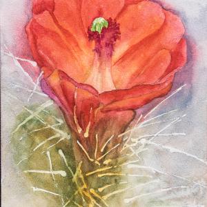 CACTUS CUP 5"x7" watercolor, $95