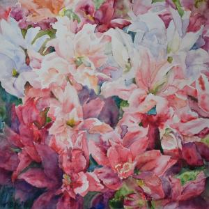 CELEBRATION DAYLILIES - SOLD