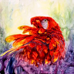 RUFFLED by Caryn Feeney