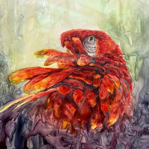 RUFFLED by Caryn Feeney
