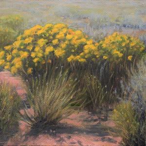 Rabbit Brush, 8"x10" oil painting, $350
