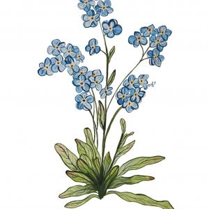 FORGET ME NOT