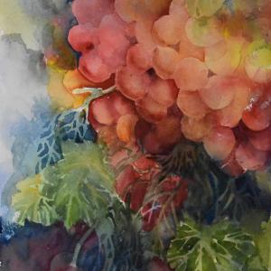 FRUIT OF THE VINE