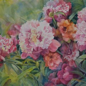 GARDEN EUPHORIA