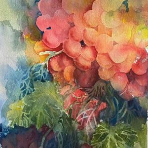 GRAPES ON THE VINE