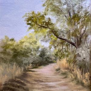 Jordan River Trail