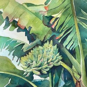 GOING BANANAS by Barbara Kidd
