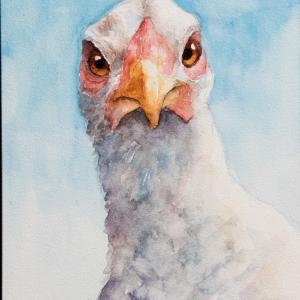 MISSUS 5"x7" watercolor, $95