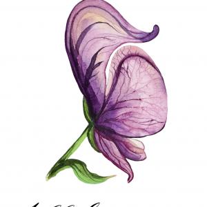 MONKSHOOD