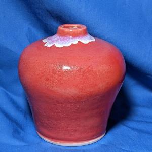 RED VASE by Neena Plant