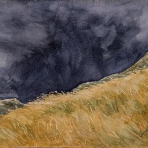 Caryn Feeney