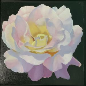PINK ROSE
