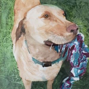 PLAY WITH ME 12"x12" watercolor, $275 matted and framed