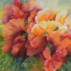 An Explosion of Poppies