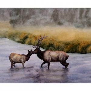 River Crossing