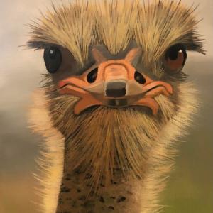 OSTRICH by Sandra Williams