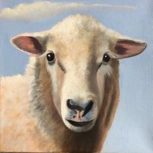 SHEEP
