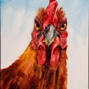 MISTER, 5"x7" watercolor, $105
