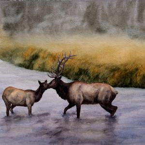 RIVER CROSSING, available for $600