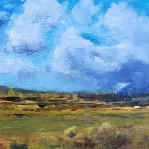 STORMS ROLLING 6"x8" Oil, $350