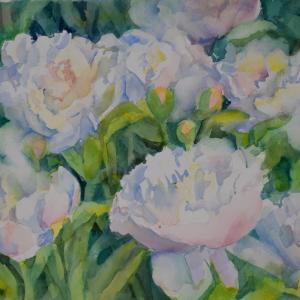 SUMMER SNOWBALLS - SOLD