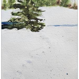 Utah Winters