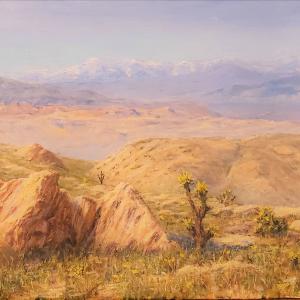 Valley of Fire Overlook