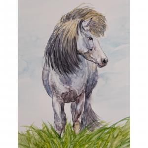 Viking Horse