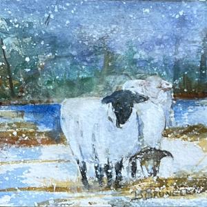 Winter Sheep